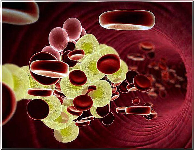 cholesterol in the blood