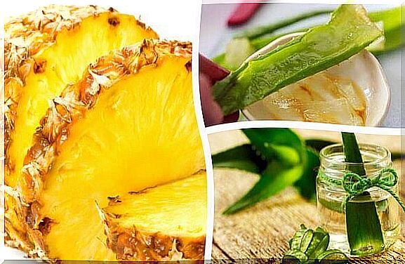 aloe vera and pineapple