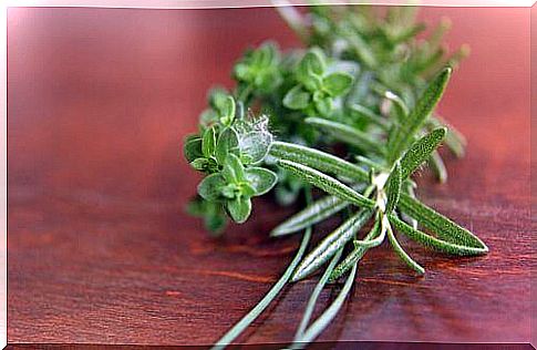 thyme rosemary