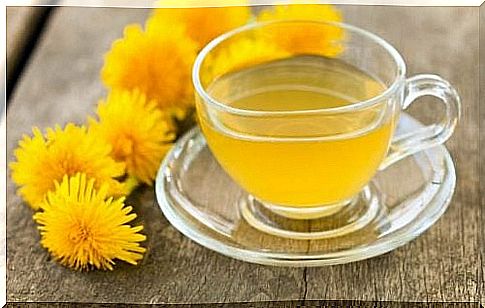 dandelion tea to cleanse the body of toxins