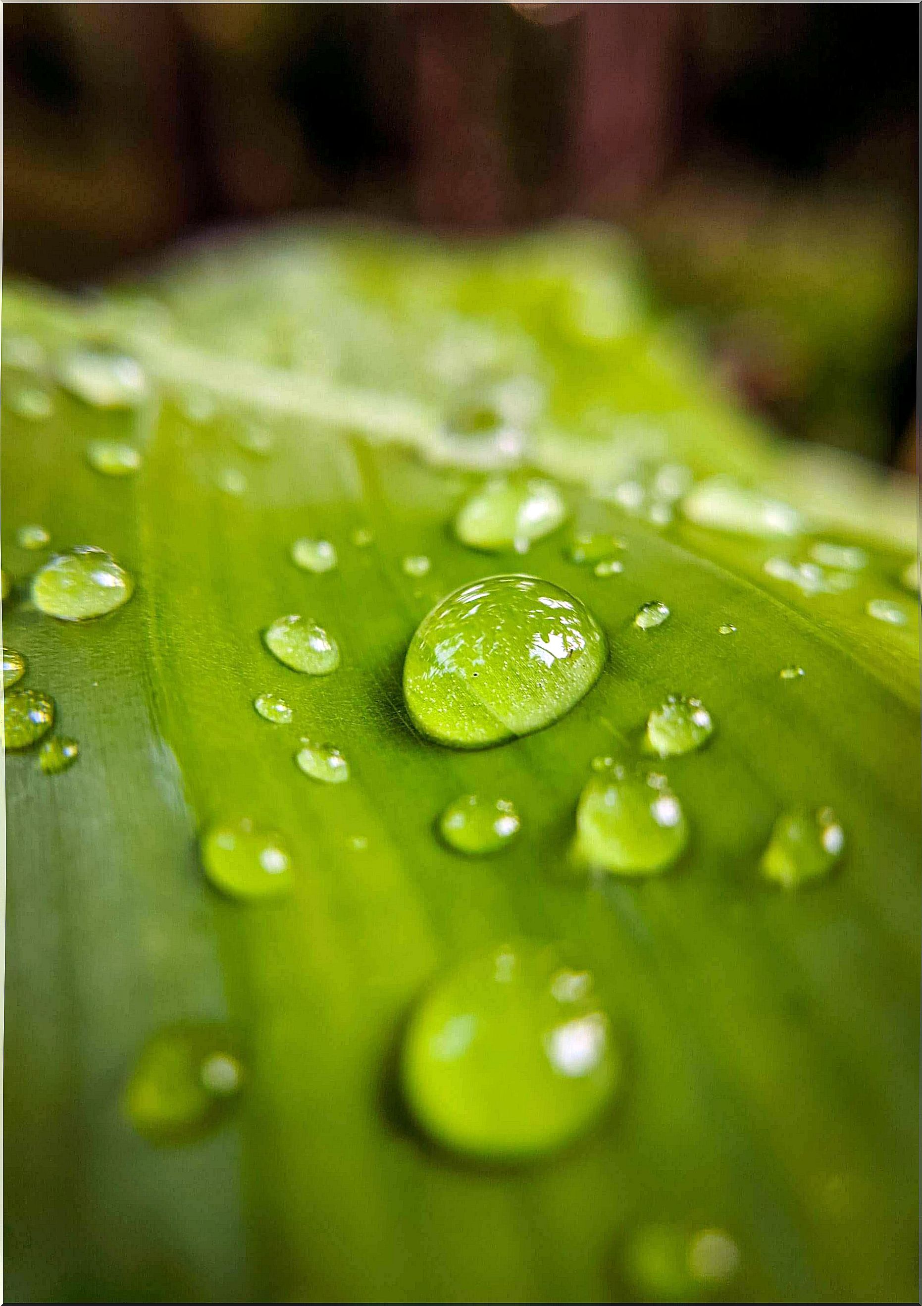 Rainwater should be collected.