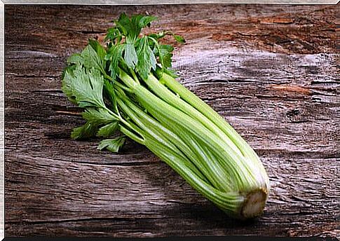 Celery allergy is common