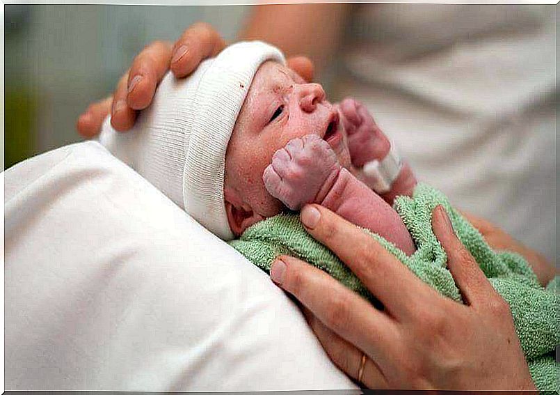 newborn baby