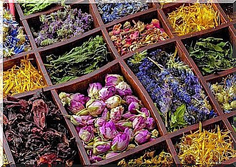 Dried flowers