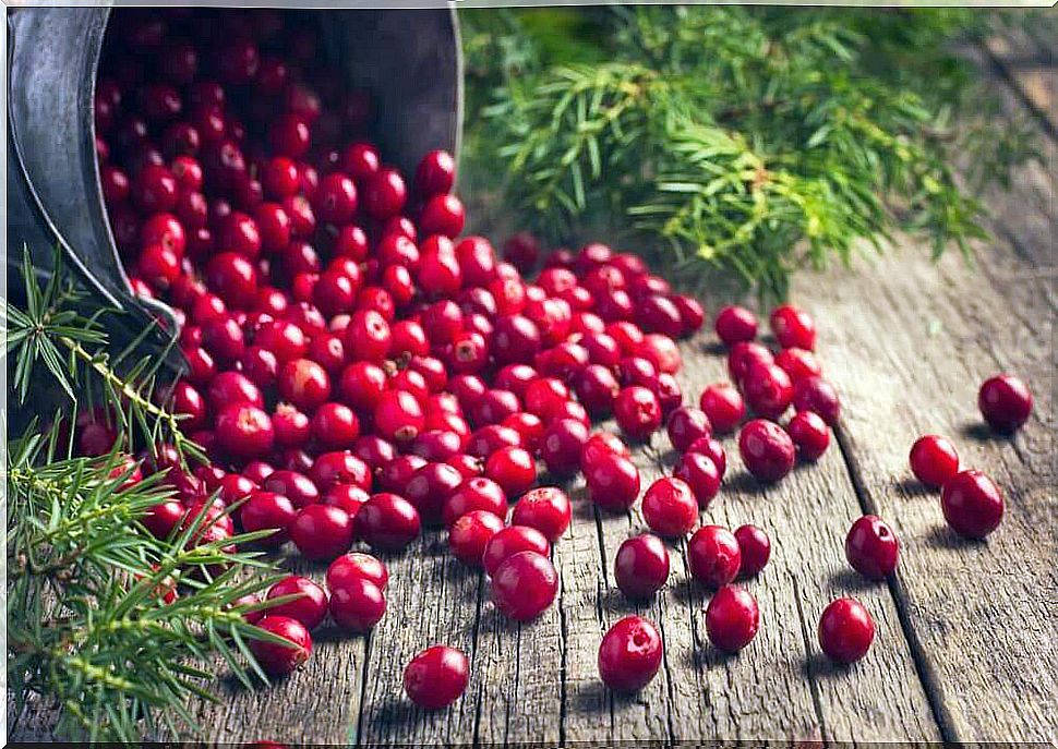 cranberries and thyroid