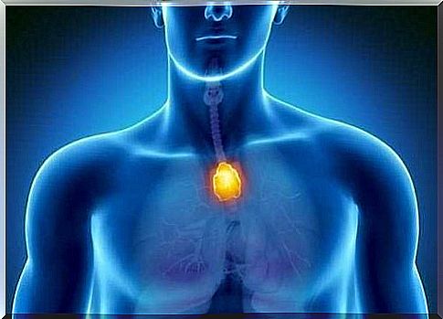 A gland called the thymus regulates resistance