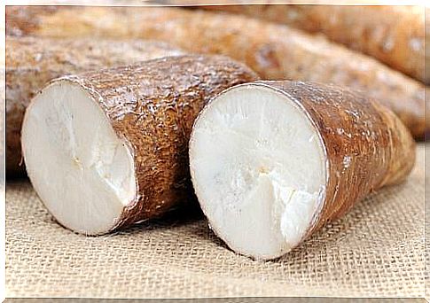 manioc