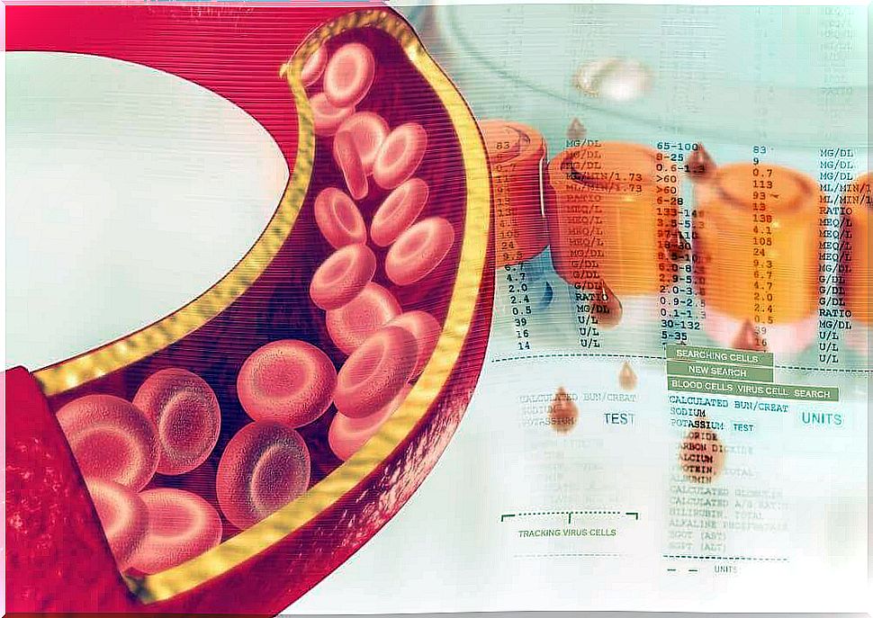 veins and blood vessels