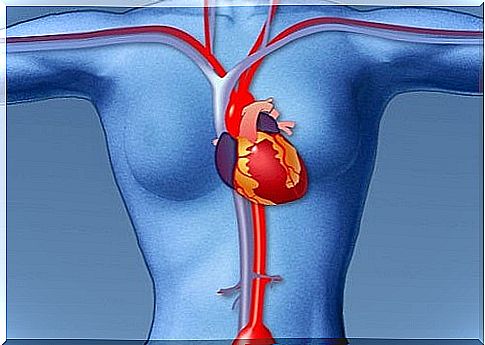 blockages in the blood vessels