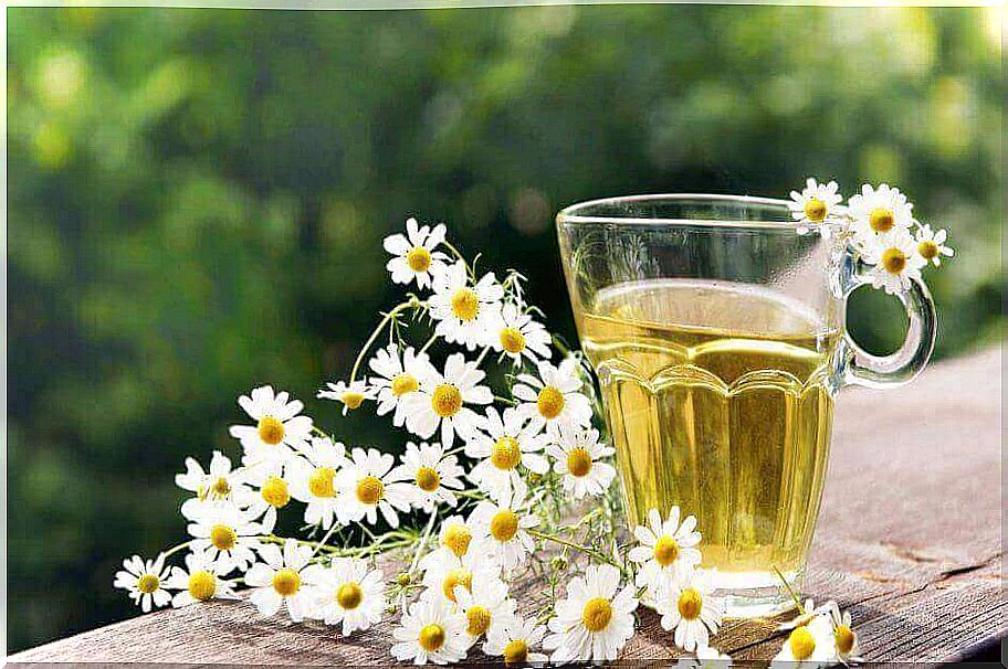 Easy and useful natural treatments from chamomile