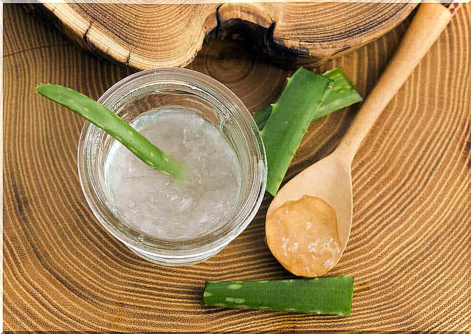 Aloe vera has antifungal properties.