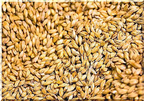 barley to improve liver and gallbladder function