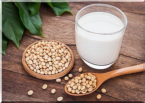 milk made from soybeans