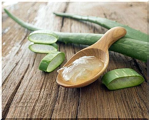 Aloe vera for hair care.