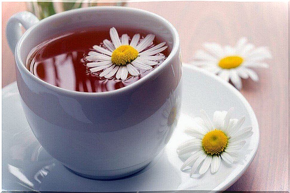 Chamomile helps relieve cough