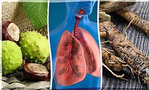 Improve breathing and strengthen the lungs: 4 home treatments