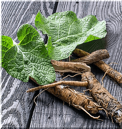 strengthen the lungs with licorice root