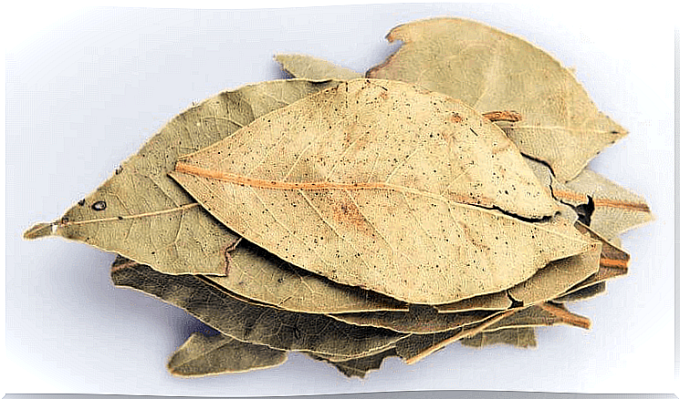 strengthen the lungs with bay leaves