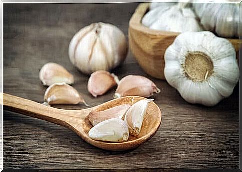 garlic increases collagen production