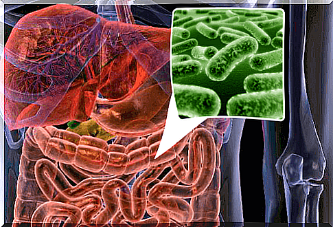 Intestinal bacterial strain - 5 therapeutic foods