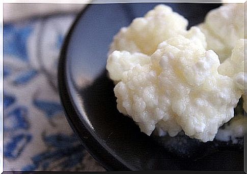 Intestinal bacterial strain: Kefir contains good bacteria for the intestine.