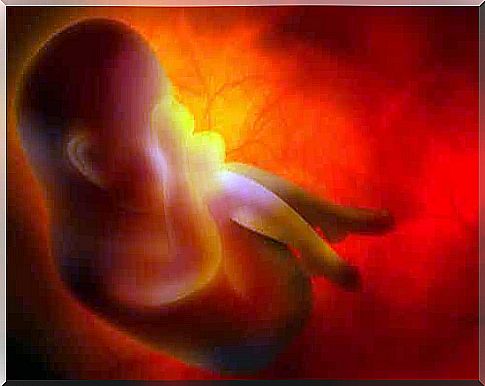 Lotus childbirth and its characteristics.