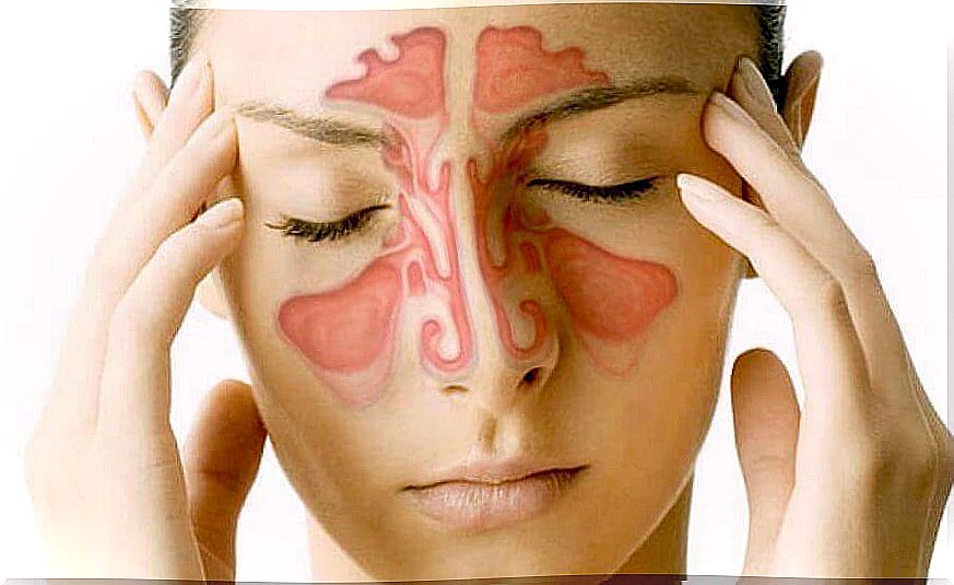 Nasal sinuses: 5 interesting facts