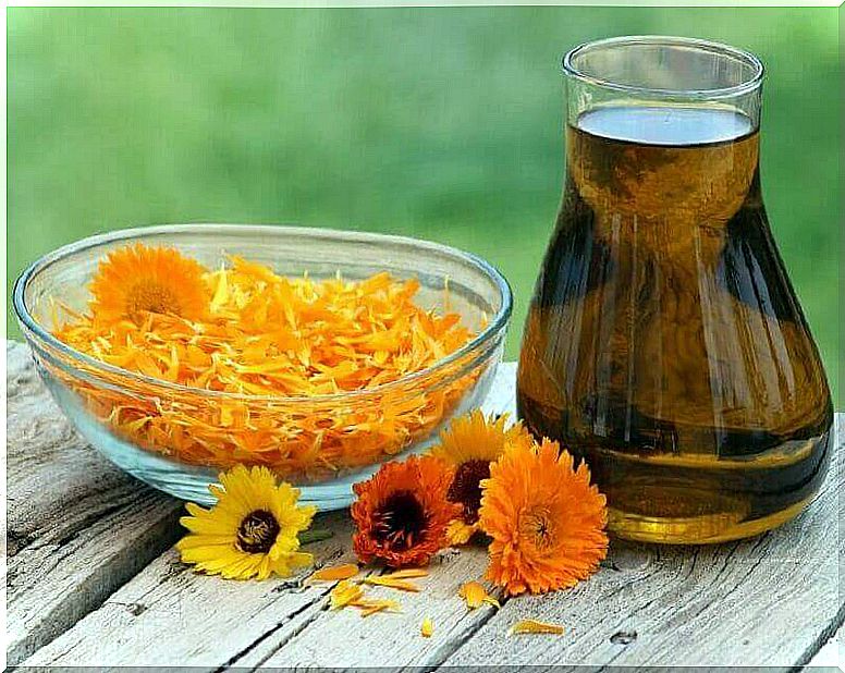 Natural treatments for bones: calendula