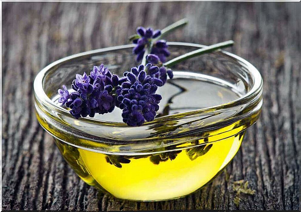 lavender oil