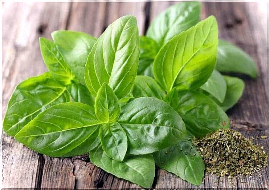 basil for vaginal itching