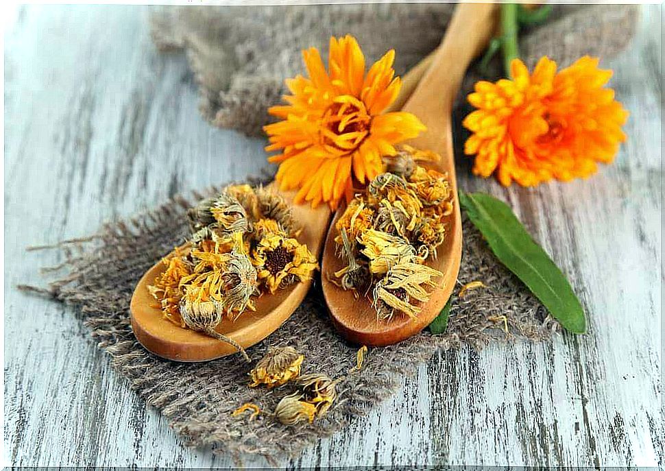 dried calendula