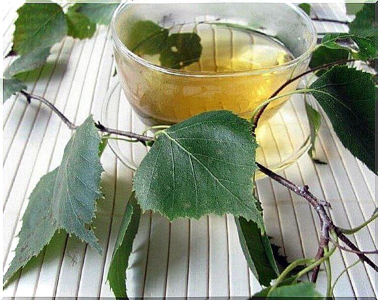 remove the liquid with a birch leaf incubator