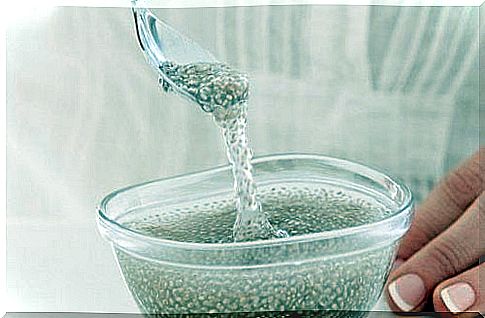 The benefits of chia seed gel and how to make it