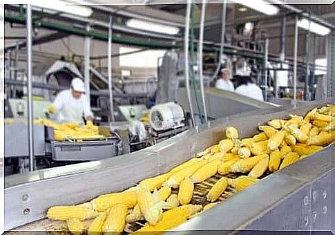 Impact of industrial processes on the nutritional value of foods