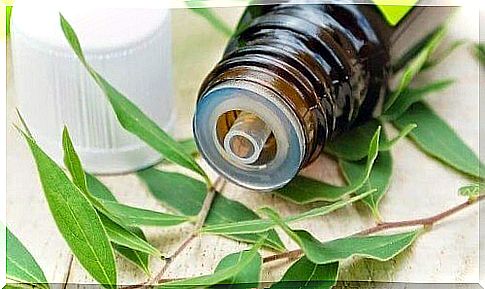 Treatment of superficial fungal infections with tea tree essential oil