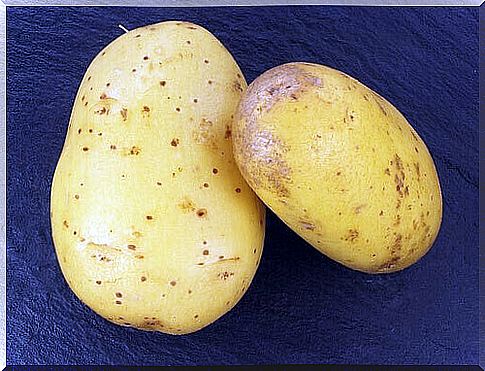 potato for excessive sweating