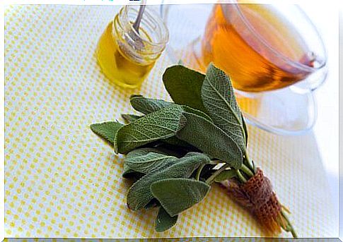 Treatment of wounds and scratches with sage and honey